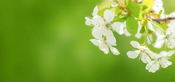 ISO 45001 iş güvenliği belgesi